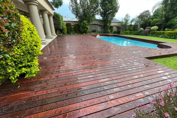 PHOTO-2022-11-21-08-13-14